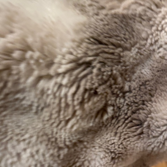 Sperry Beige Canvas Shoes with Brown Laces - Picture 7 of 10